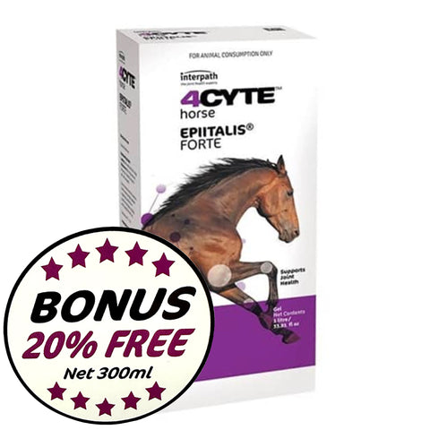 4CYTE Epiitalis Forte - Equine