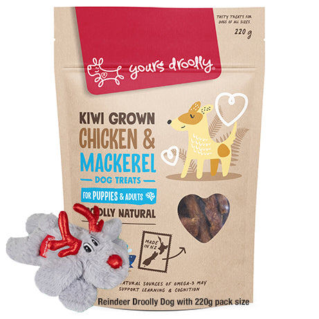 Kiwi dog treats best sale