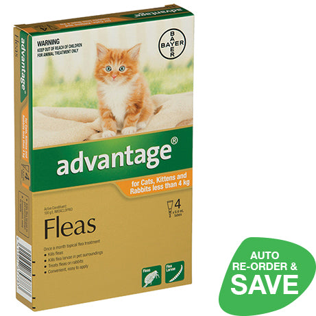 Advance discount flea treatment