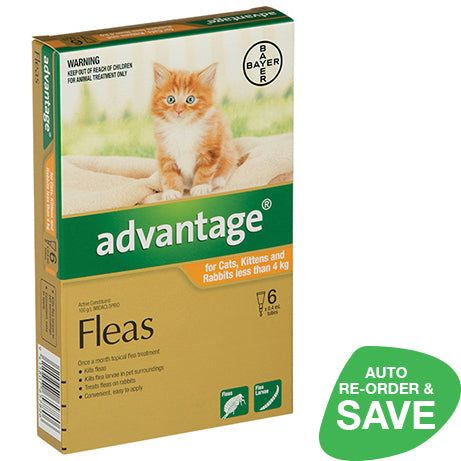 Advantage for Small Cats and Kittens Less than 4kg