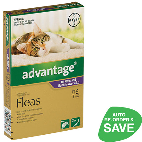 Advantage for Cats over 4Kg