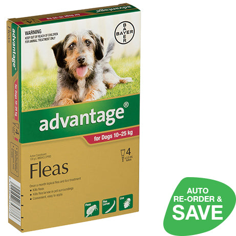 Advantage for Large Dogs 10-25kgs 4 Pack