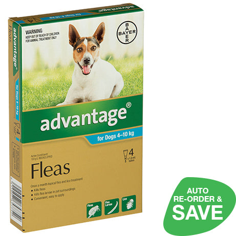 Advantage for Medium Dogs 4 10kgs 4 Pack NZ Wide Shipping