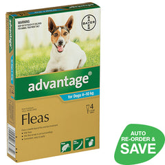 Advantage for Medium Dogs 4-10kgs 4 Pack