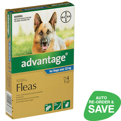 Advantage topical flea treatment for cheap dogs