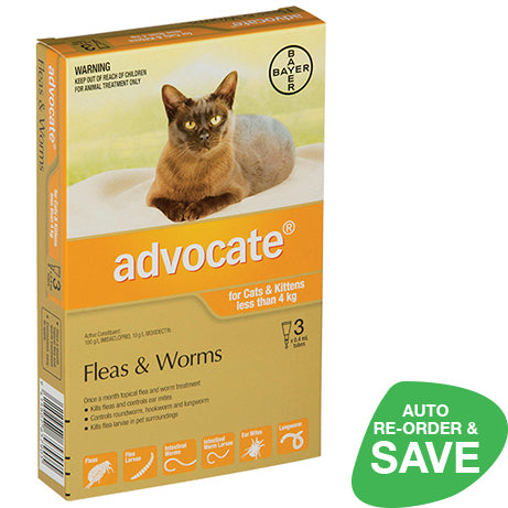 Advocate for Small Cats & Kittens Less than 4kg
