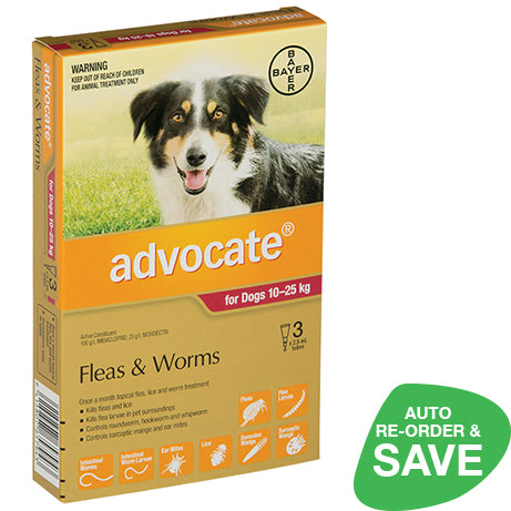 Advocate Large Dogs 10-25kg - 3 pack