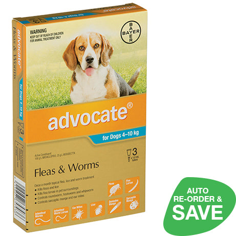 Advocate for Dogs