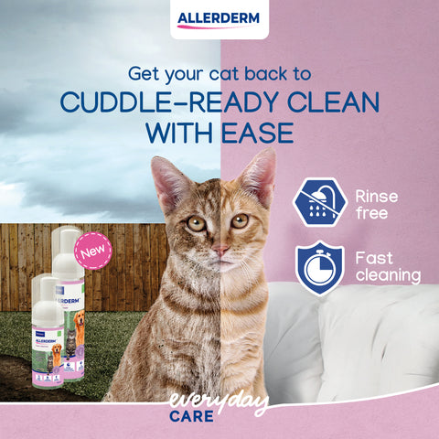 Allerderm™ Foam Cleanser 200ml