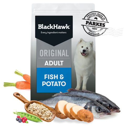 Black Hawk Adult Dog Fish & Potato