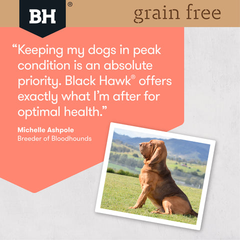 Black Hawk Adult Dog Grain Free Salmon