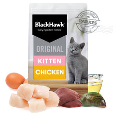 Black Hawk Kitten Chicken