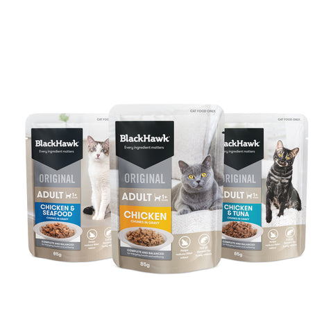Black Hawk Adult Cat Chicken 4kg + FREE Variety Pack