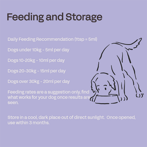 FOURFLAX Canine Brain & Vision