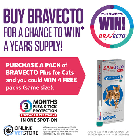 Bravecto Plus Spot-On For Large Cats 6.25 to 12.5kg