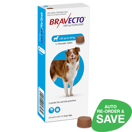 Large dog best sale flea medicine