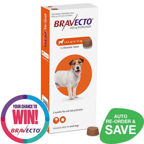 Bravecto flea collar hotsell