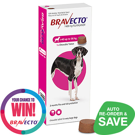 Bravecto every 3 months best sale