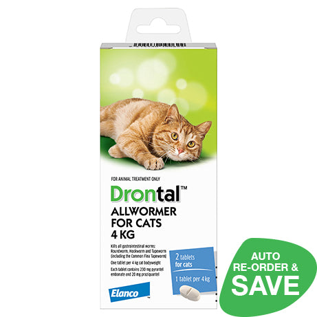 Drontal Allwormer For Cats 4kg