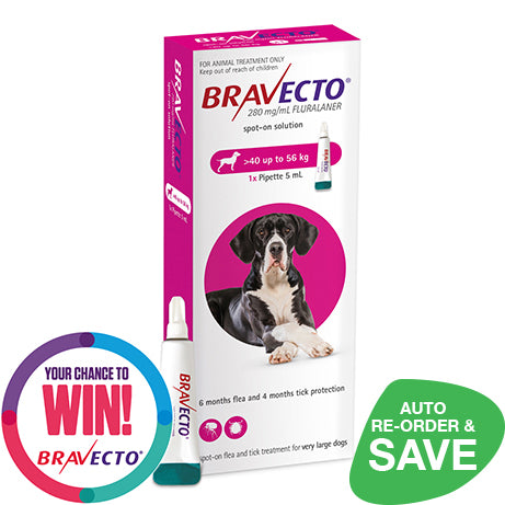 Bravecto Spot On X Large Dog 40 56kg NZ Wide Shipping