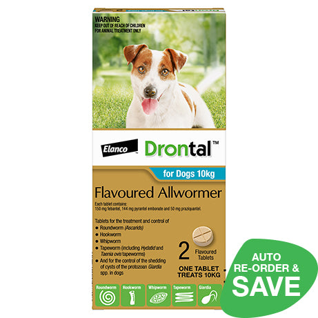 Drontal for Dogs 10kg Allwormer Tablets NZ Wide Shipping