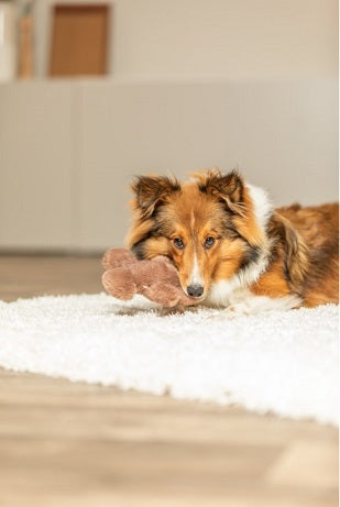 Xmas Gingerbread Man 16cm