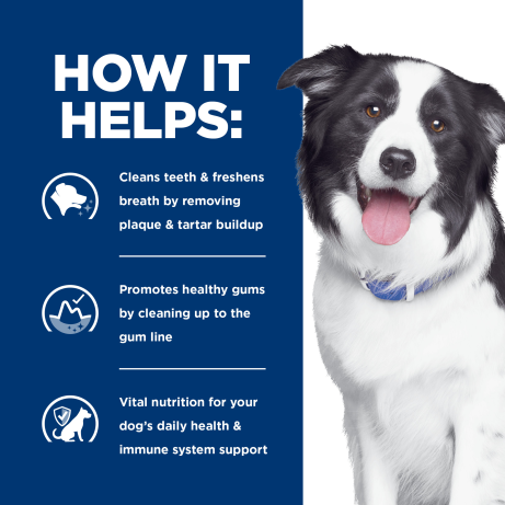 Hills dental hot sale food for dogs