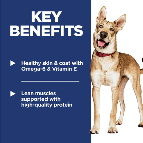 Hill's Science Diet Adult Chicken & Barley Recipe Dry Dog Food