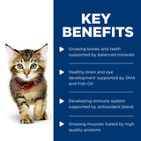 Hill's Science Diet Kitten with Salmon Wet Cat Food pouches 12x85g