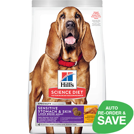 Best food for puppy sensitive stomach best sale