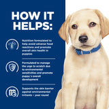 Hill's Prescription Diet Derm Complete Puppy Rice & Egg Recipe Dry Dog Food 6.48kg