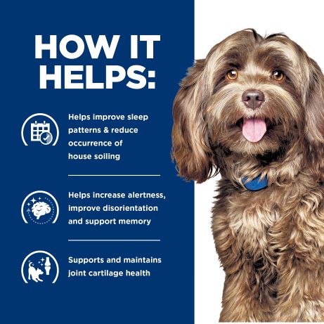 Hill's Prescription Diet Brain Care + j/d Mobility with Chicken Dry Dog Food 3.85 kg