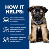 Hill's Prescription Diet i/d Digestive Care Dry Puppy Food 3.85Kg