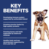 Hill's Science Diet Puppy Large Breed Dry Dog Food