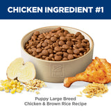 Hill's Science Diet Puppy Large Breed Dry Dog Food