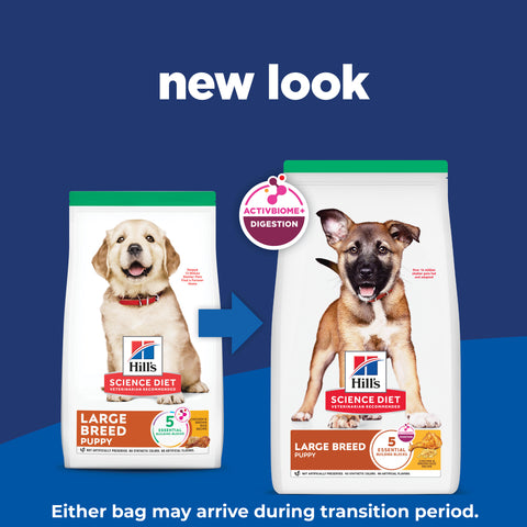 Hill's Science Diet Puppy Large Breed Dry Dog Food