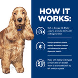 Hill's Prescription Diet z/d Skin/Food Sensitivities Dog Food 370g x 12 Tray