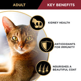 Pro Plan Cat Adult Chicken Dry Food