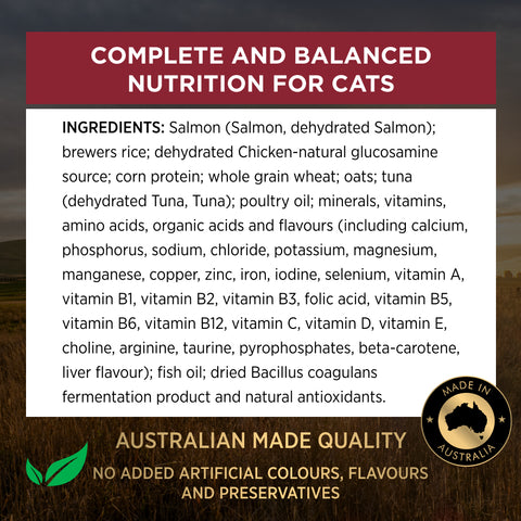 Pro Plan Cat Adult Salmon Dry Food