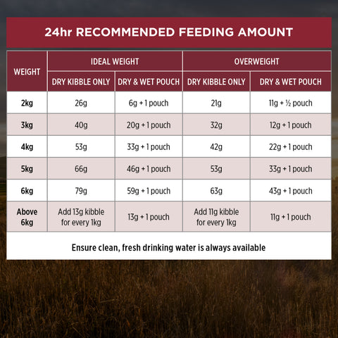Pro Plan Cat Adult Salmon Dry Food
