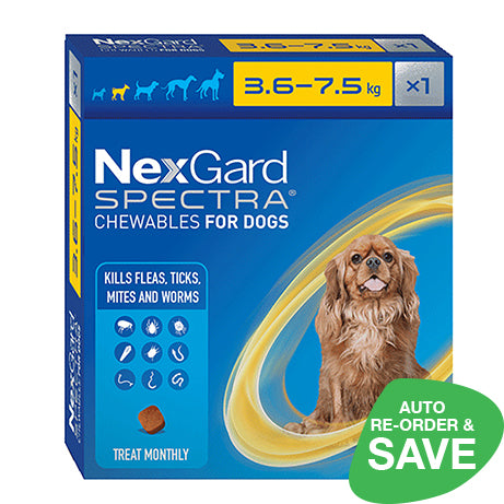 Nexgard afterpay clearance