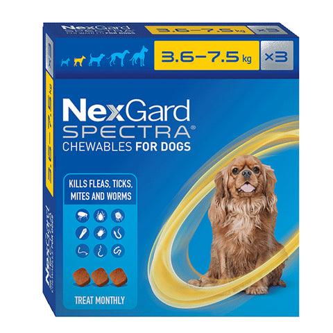 Nexgard Spectra Small 3.6-7.5kg Dog