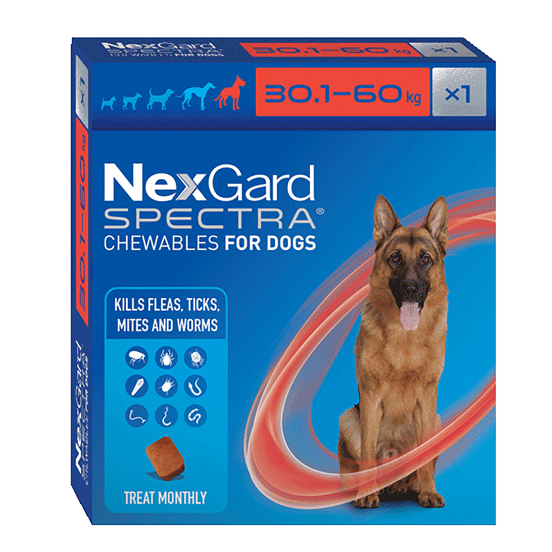 Pet Circle Nexgard Spectra Large Dog 12 Pack Nexgard Spectra Large