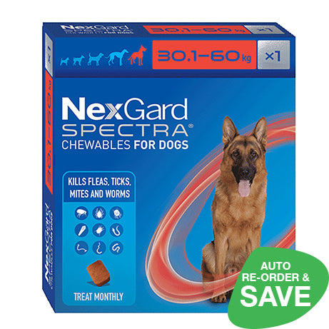 Nexgard Spectra Extra Large 30.1-60kg Dog