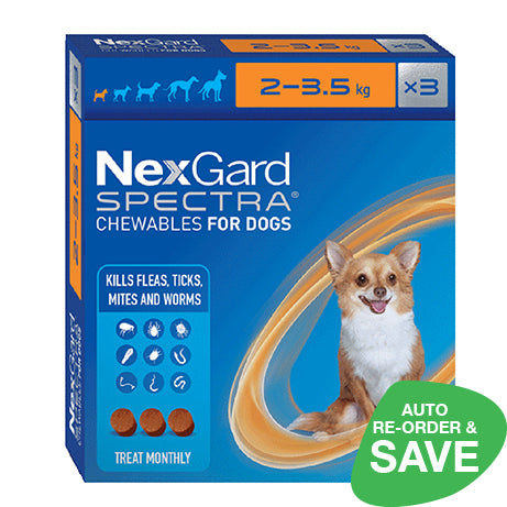 Nexgard Spectra Extra Small 2-3.5kg Dog 3 Chews