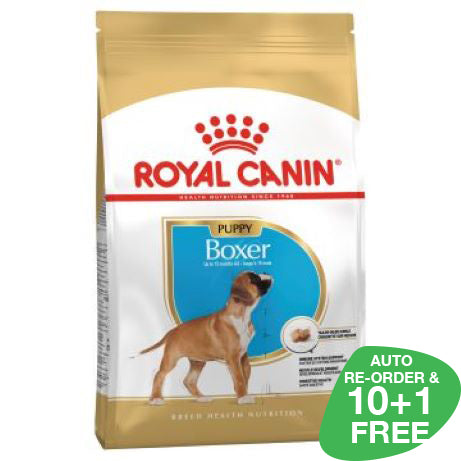 Royal Canin Boxer Junior 12kg