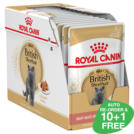 Best dry food for british shorthair cats hotsell