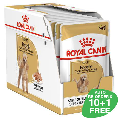 Royal Canin Adult Poodle Loaf 85gm x 12 Sachets