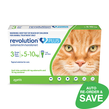Revolution Plus For Large Cats - 3 Pack