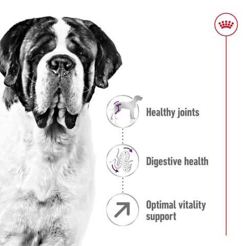 Royal Canin Giant Breed Dog Adult 15kg